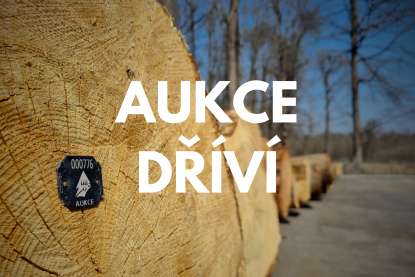 Aukce dříví