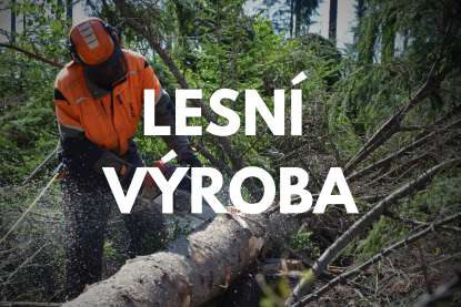 Lsní výroba