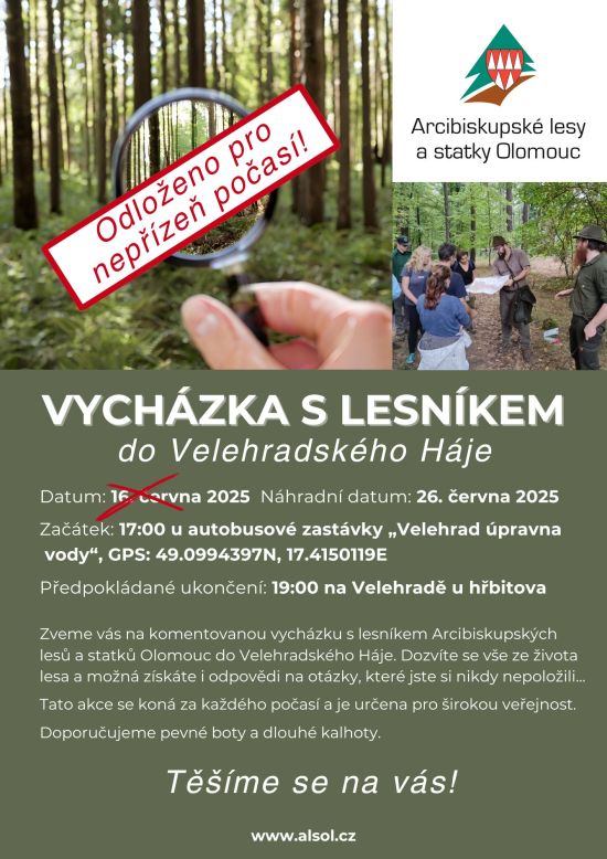 Vycházka s lesníkem, pro veřejnost, lesní pedagogika, Arcibiskupské lesy