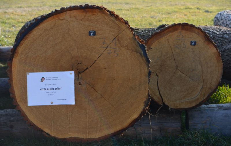 VIII. Aukce cenných sortimentů dříví